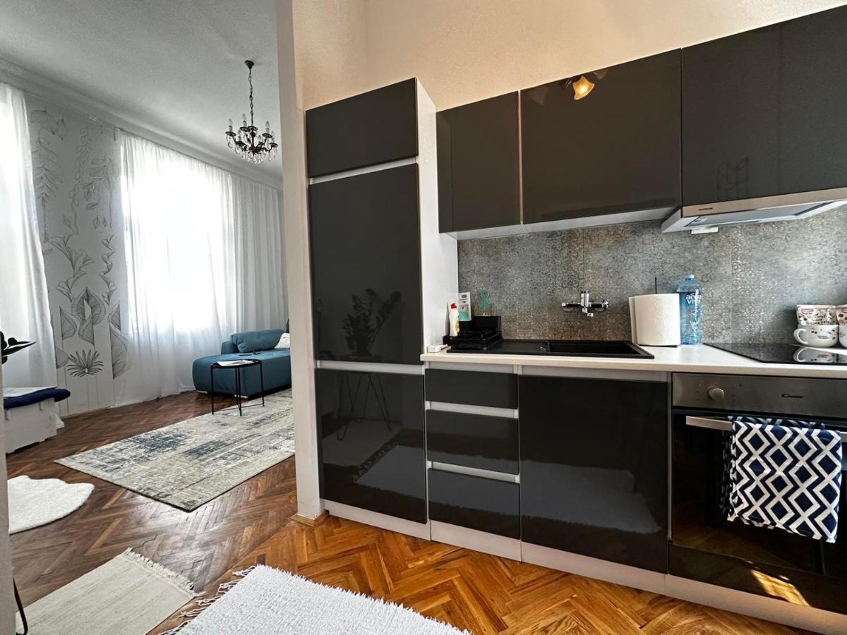 Pure Of Joy City Centre Apartment Суботица Экстерьер фото
